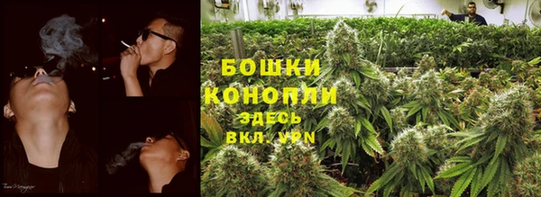 ешки Бородино