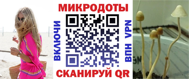 купить   Екатеринбург  Псилоцибиновые грибы прущие грибы 